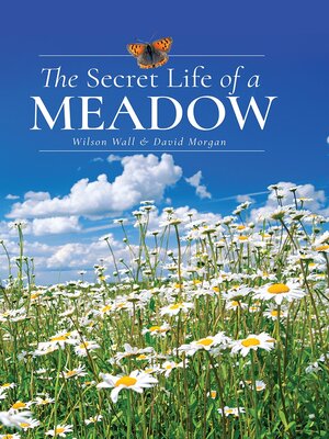 cover image of The Secret Life of a Meadow